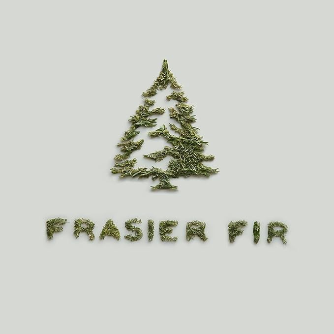 Thymes Frasier Fir Reed Diffuser Set – Includes Reeds, Fragrance Oil, and Frosted Glass Bottle – Fragrance Oil Diffuser – Room Fresheners – Luxury Home Decor – Green & Clear (Pine Needle, 7.75 fl oz)