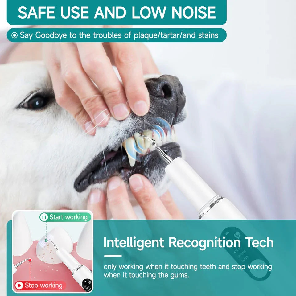 Snavya Pet Dental Ultrasonic Tooth Cleaner – Electric Plaque Remover & Tartar Scaler for Dogs and Cats | Curvy Moon T6