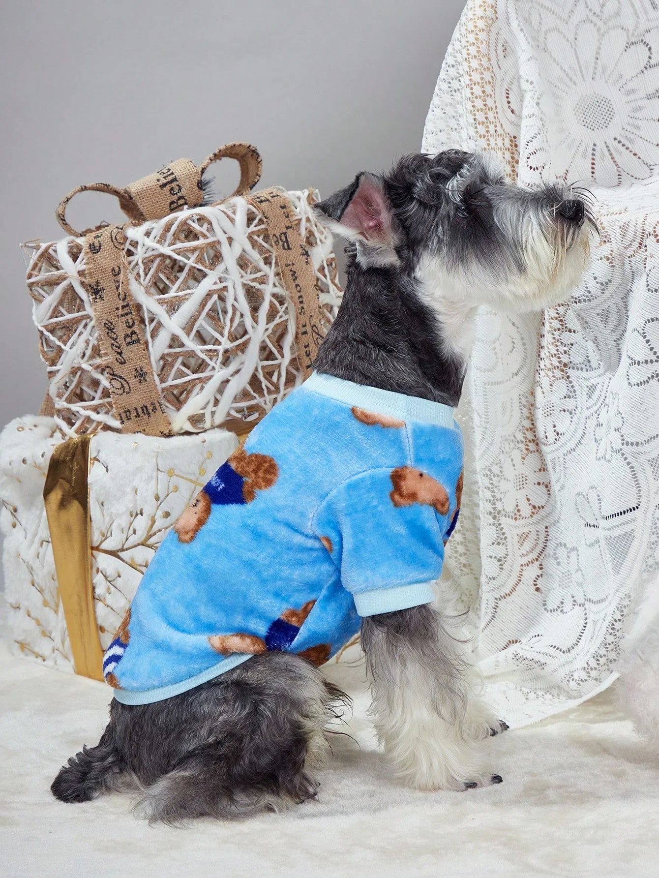 PETSIN Blue Bear Pet Pullover