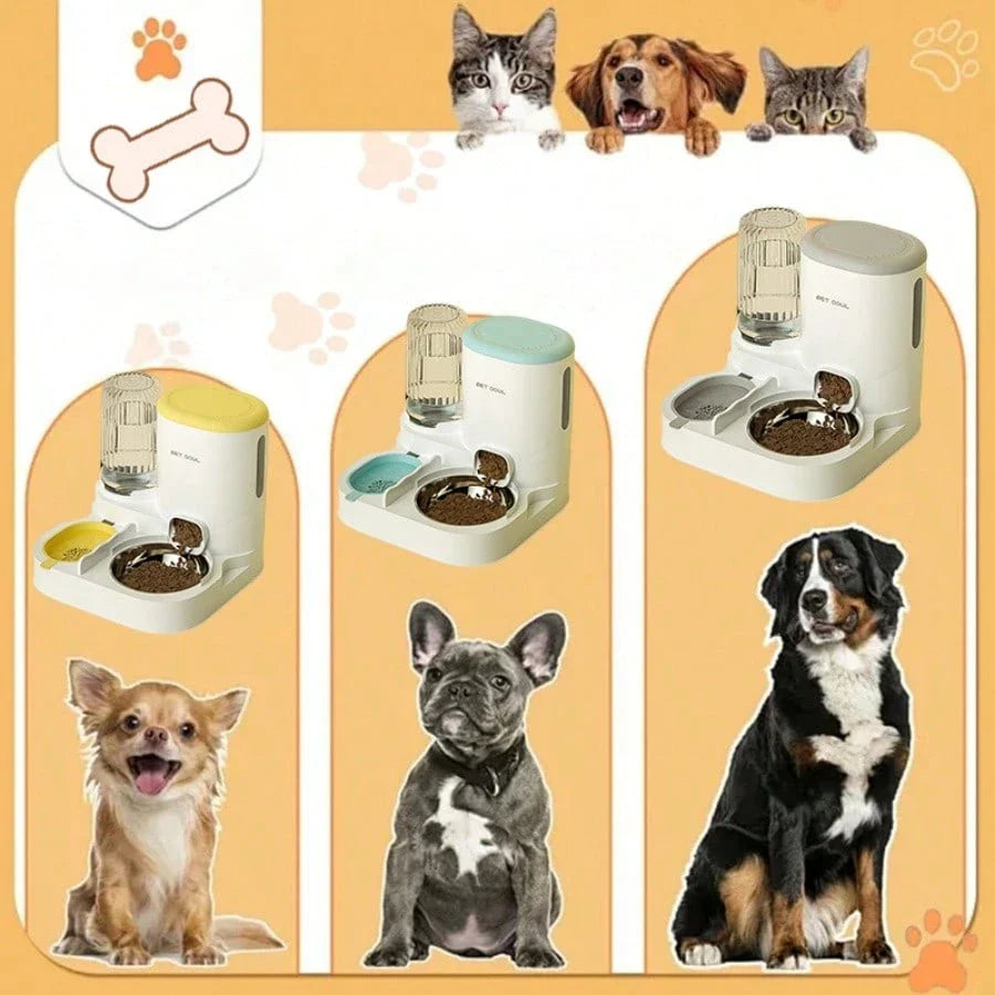 2-in-1 Automatic Cat Feeder