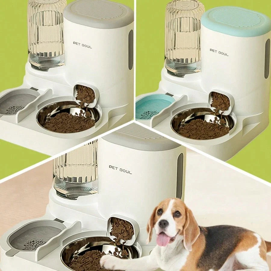 2-in-1 Automatic Cat Feeder