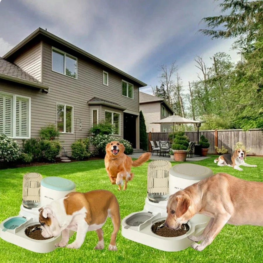 2-in-1 Automatic Cat Feeder