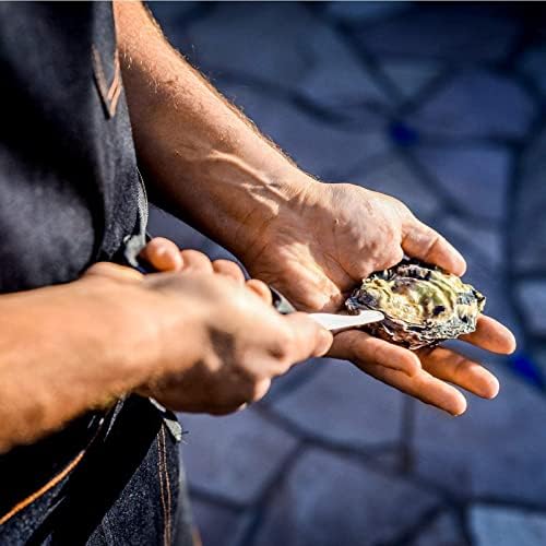 Rockland Guard Oyster Shucking Knife - Oyster Knife Shucker for Opening Clams, Scallops, Shellfish - Stainless Steel Blade, Non-Slip Ergonomic Handle - Kitchen Tool for Chefs, Cooks - Set of 2 Knives