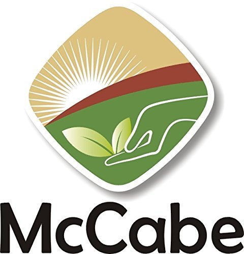McCabe Organic Rice Flour - White Rice Flour | Rich with Fiber & Minerals | USDA and CCOF Certified | Product of USA | 1Lbs Pack of 3