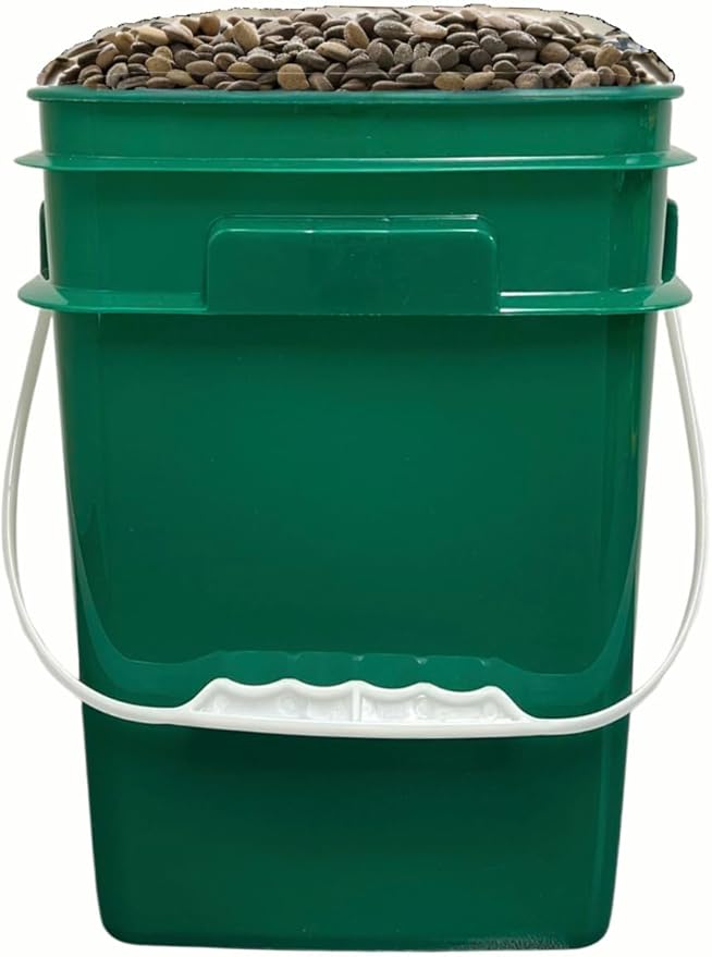 House Naturals 4 Gallon Square Food Grade Bucket Pail with Plastic Handles and Lid (Pack of 3) Made in USA containers (Dark Green - Black lids)