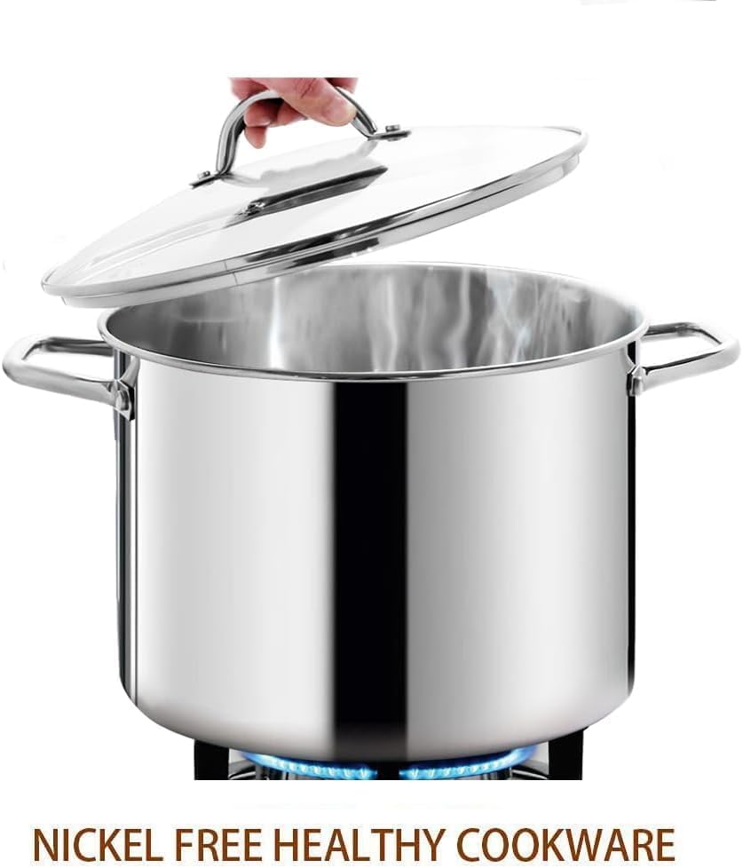 HOMICHEF 12 Quart LARGE Stock Pot with Glass Lid - NICKEL FREE Stainless Steel Healthy Cookware Stockpots with Lids 12 Quart - Mirror Polished Induction Pot - Commercial Grade Soup Cooking Pot