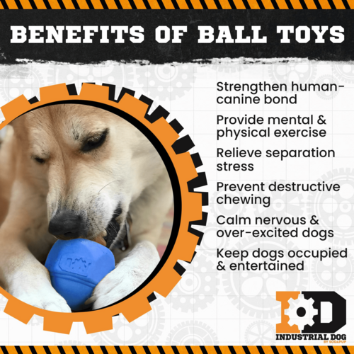 Rubber Chew Treat Dispenser Toy