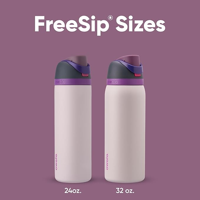 Owala FreeSip Insulated Stainless Steel Water Bottle with Straw for Sports, Travel, and School BPA-Free Sports Water Bottle, 24 oz, Dreamy Field