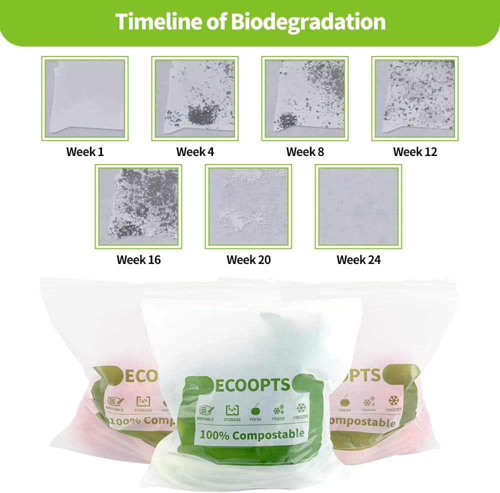 100% Compostable Large Sandwich Zip Bag | ECO-Friendly Food Storage Bags | Freezer Bag | Plant-Based BPA-free | Seal well for Fruit,Food and Snack (L-2Pack)
