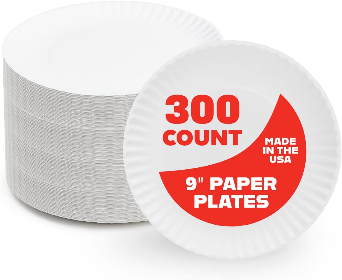 Hygloss Products 9" Uncoated White Paper Plates Bulk, 9 Inch, 300 pack, Disposable Plates For Food, Dessert Or Crafts