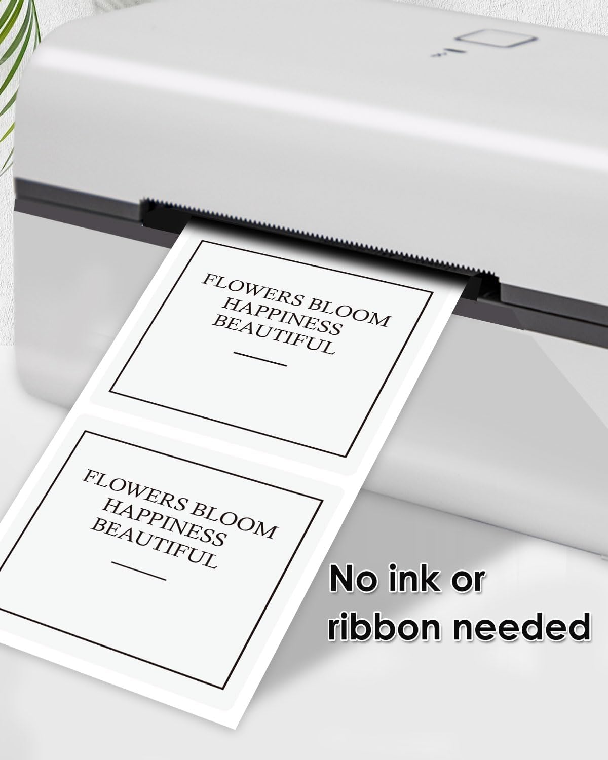 iEager White Square Thermal Label Stickers, 2"x2" Self-Adhesive Square Direct Thermal Labels with Perforation Line, 500 Sheets/Roll