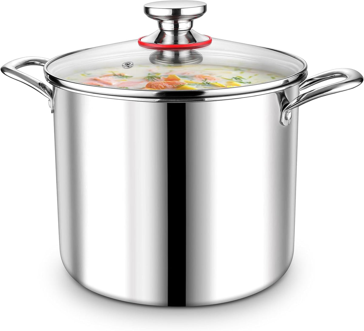 P&P CHEF 10 Quart Tri-Ply Stainless Steel Stockpot, Stock Pot with Visible Lid for Soup Pasta Vegetable, Induction Cooking Pot for All Stoves, Sturdy & Double Handle, Dishwasher Safe