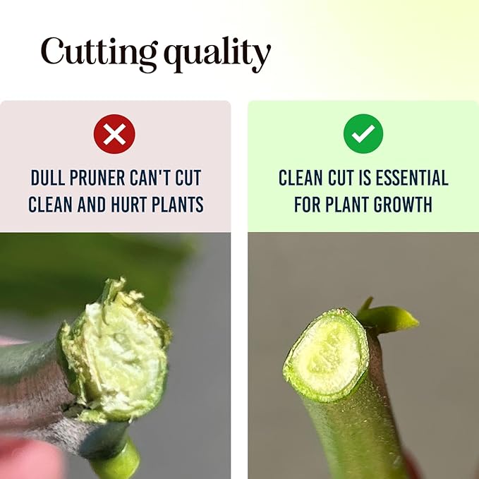Ultra Sharp Pruning Shears Hedge Clipper – Cuts 3X Easier, Dual-Size Opening, Weak Hand Arthritis Clippers, Rust-Resistant Pruner, Effortlessly Cuts