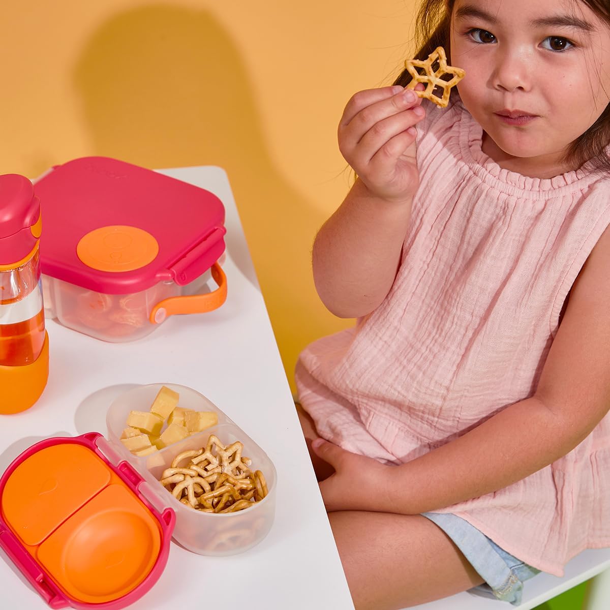 b.box Snack Box Reusable Snack Containers with Lids 2 compartments, Bento Box for kids and toddlers, Leakproof Lunch Box, BPA free and Dishwasher Safe Snack Container (Blush Crush, 1 3/4 Cup)