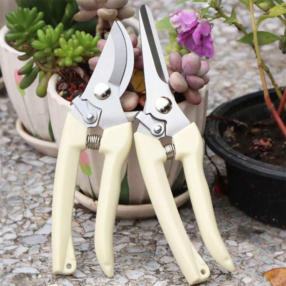 BUGUI Garden Shears Set of 2, Includes 1 Bypass Pruning Shears and 1 Straight Blade Garden Scissors, Sharp, Lightweight