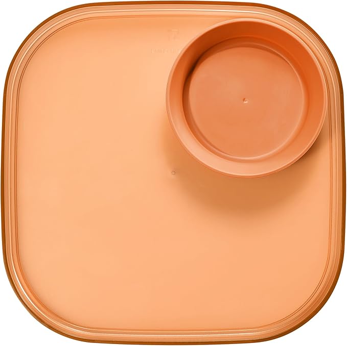 Madesmart Dipware Reusable Dining Plate/Serving Tray for Appetizers and Snacks, Food-Safe Appetizer Serving Platter with Removable Dip Bowl, Terracotta