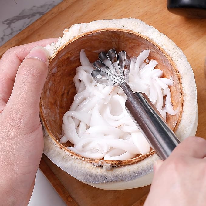 4 Pcs Coconut Meat Removal Scraper Tools, Stainless Steel Coco Nut Kinfe, Copra Cocoanut Pulp Shredder, Fish Skin Scaler for Kitchen, Grater, Peeler and Slicer, Coconut Grater, Silver