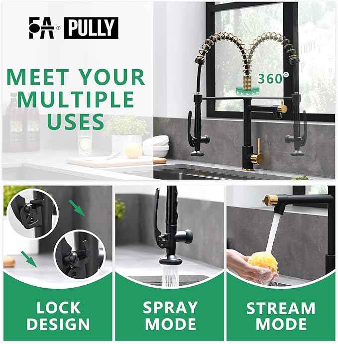 Fapully Black&Gold Kitchen Faucet with Sprayer,Commercial Pull Down Kitchen Faucet for Kitchen Sink