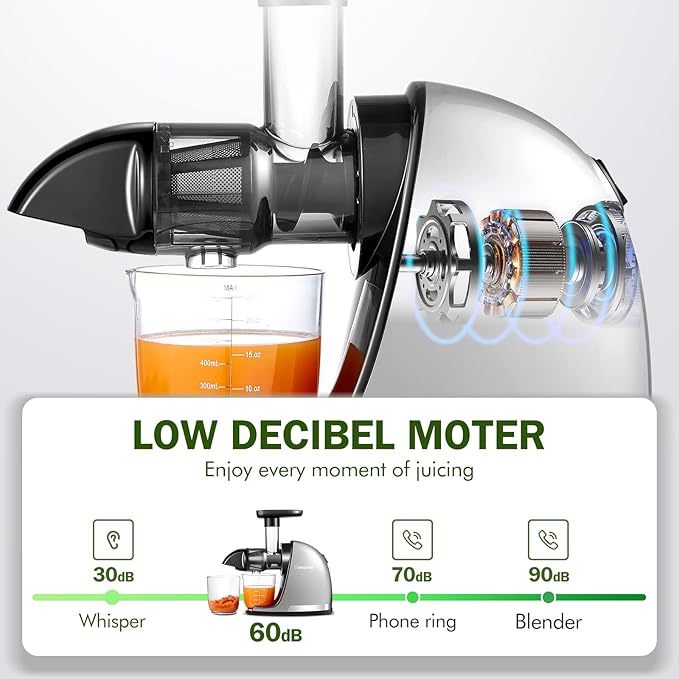 AMZCHEF Cold Press Masticating Juicer Machine - 90% Yield Reverse System, Quiet Motor for Home & Breakfast, 3-Step Clean with Brush, Includes 50+ Juice Recipes, Silver Grey
