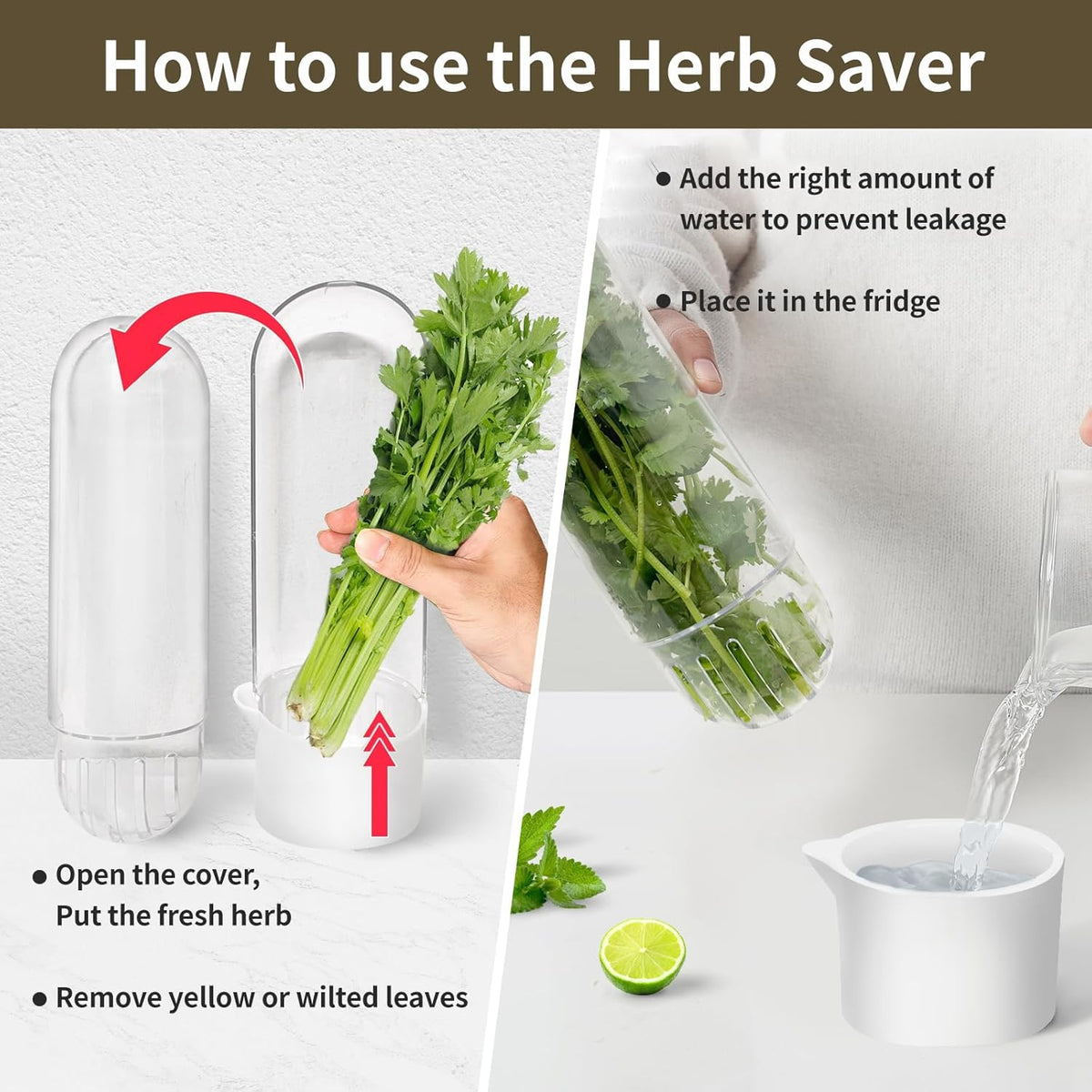 Herb Keeper for Refrigerator, Herb Saver for Refrigerator, Vegetable Preservation Bottle for Cilantro, Mint, Parsley, Asparagus, Keeps Greens Fresh for 2-3 Weeks (1PCS)