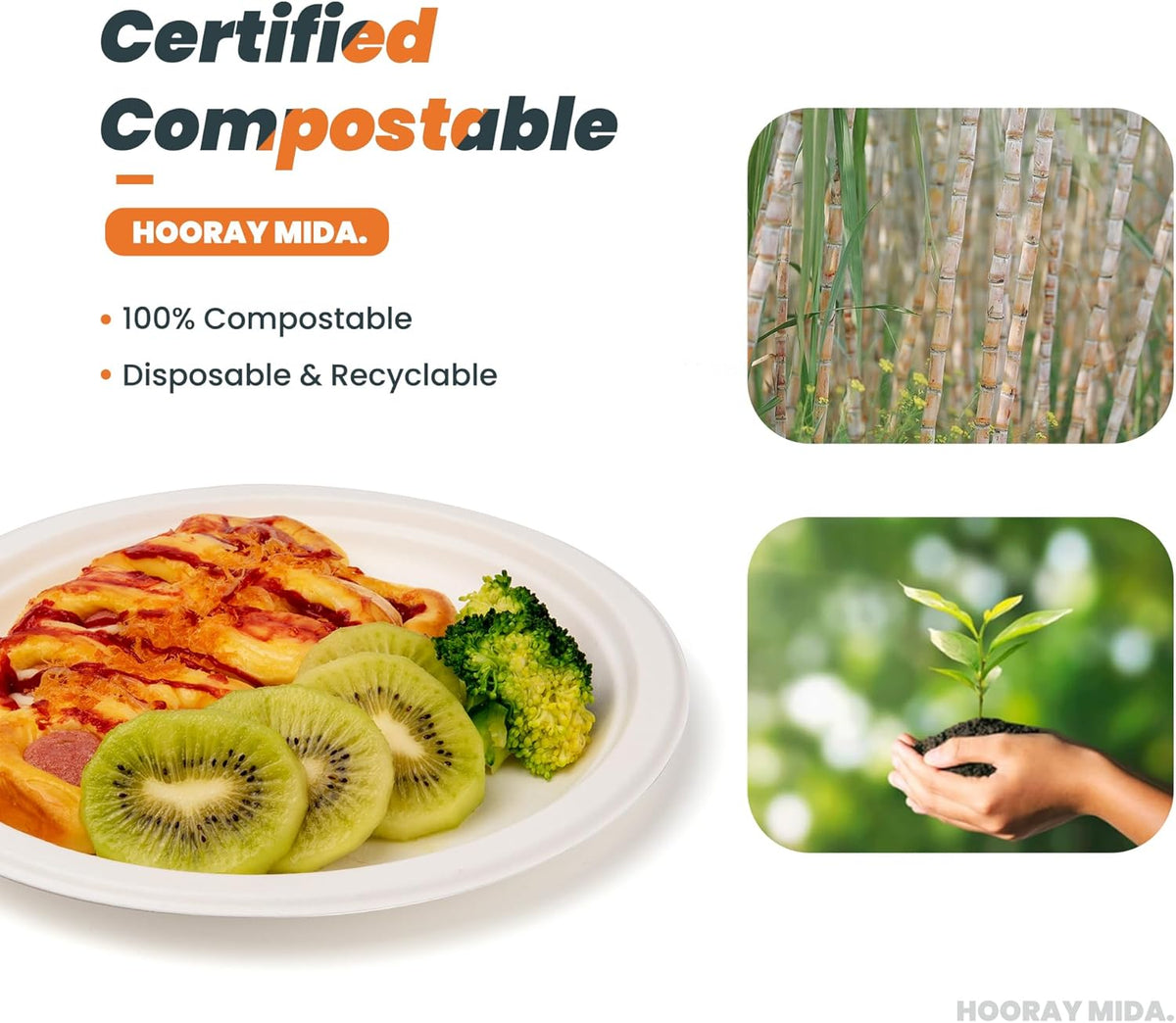 100% Compostable Plates - Disposable, Heavy Duty, Biodegradable, Eco-Friendly (Natural, 9 inch, 125-Count)