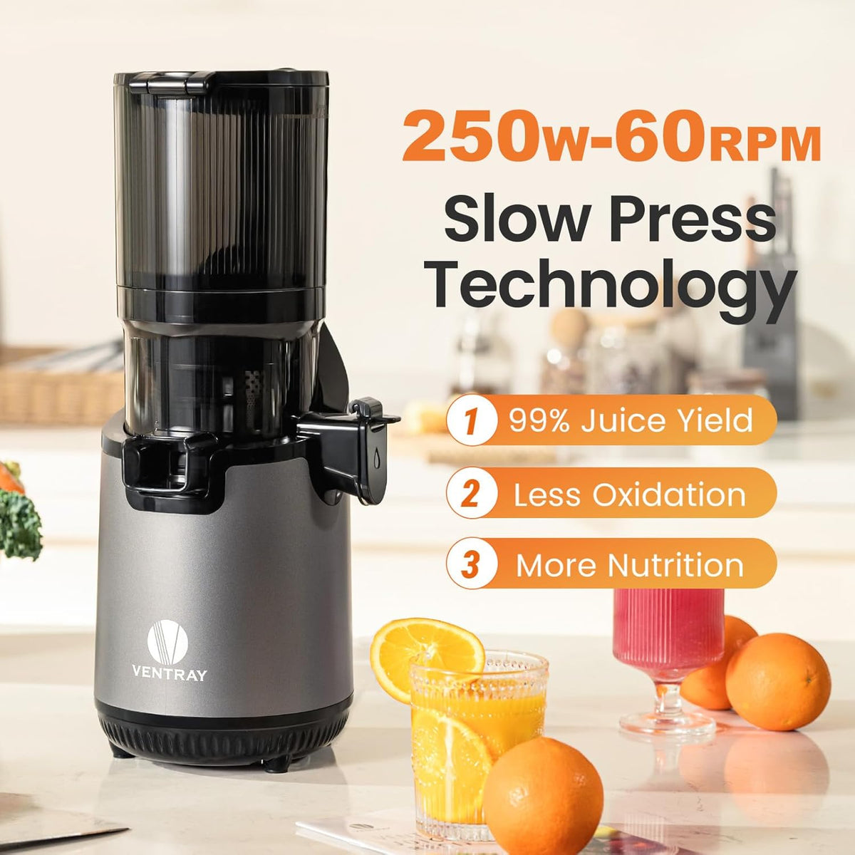 Ventray Cold Press Juicer, 5.12'' Extra Large Feed Chute Slow Masticating Juicer for Whole Vegetables & Fruits, 250w, High Juice Yield, Easy to Clean, with Brush, Fit for Batch Juicing
