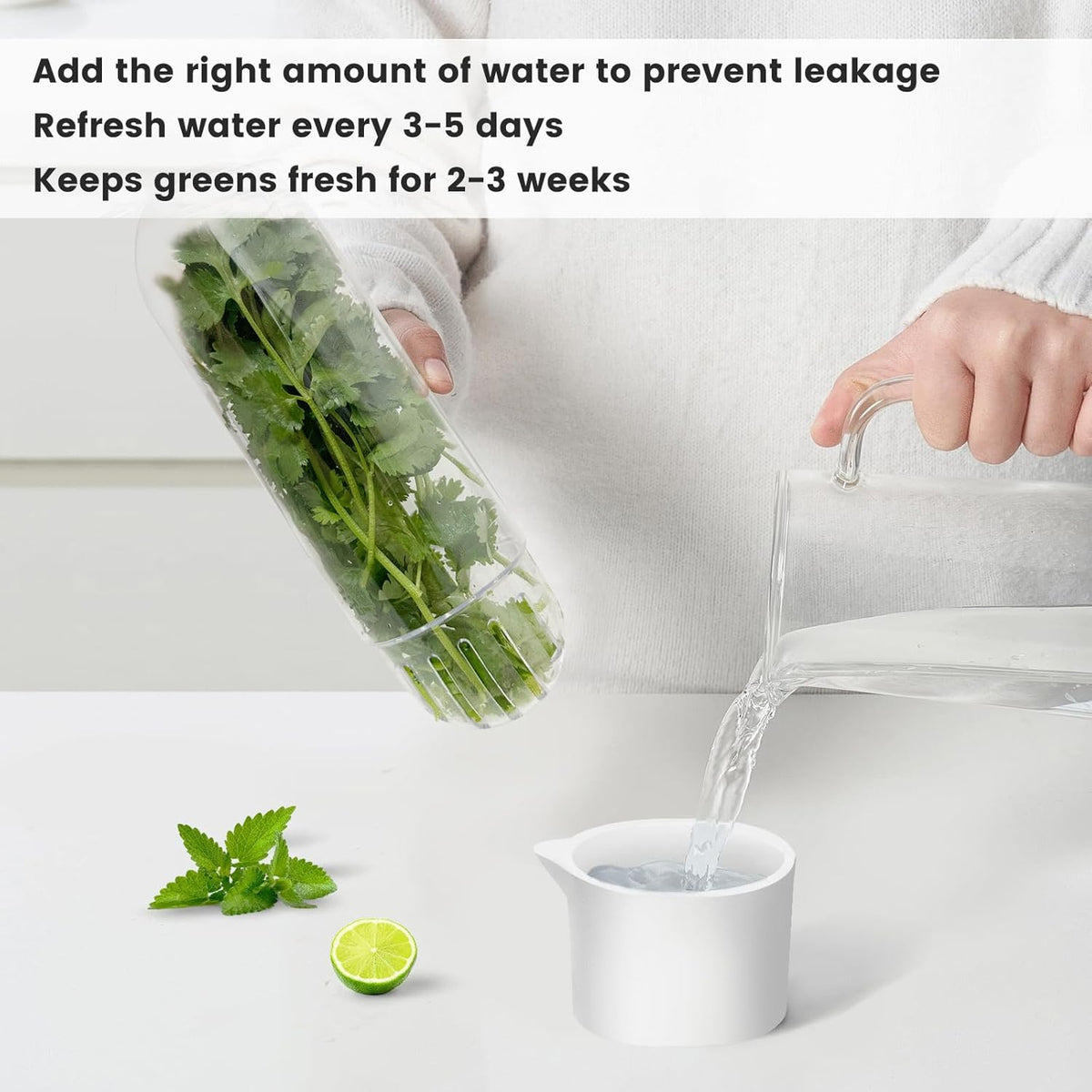 Herb Keeper for Refrigerator, Herb Saver for Refrigerator, Vegetable Preservation Bottle for Cilantro, Mint, Parsley, Asparagus, Keeps Greens Fresh for 2-3 Weeks (1PCS)