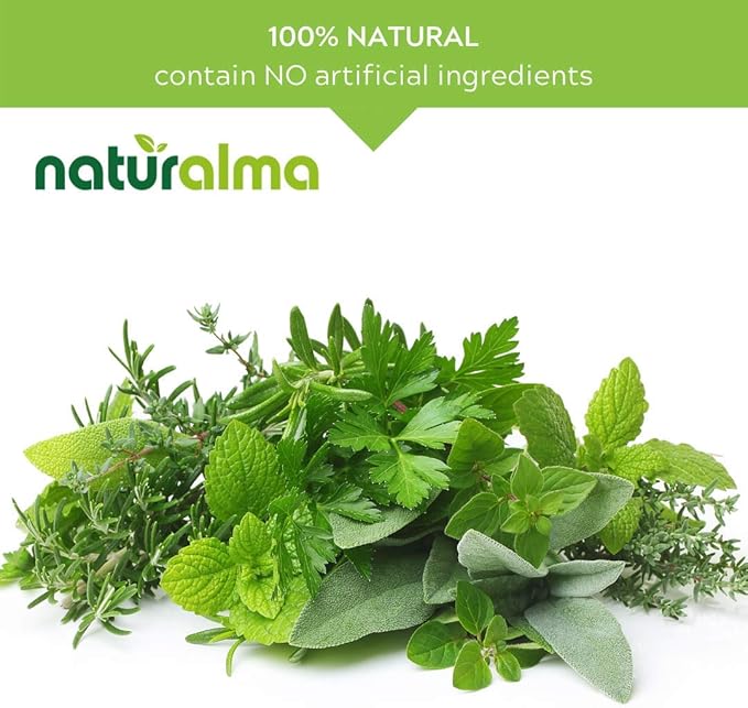 Naturalma Ginkgo (Ginkgo biloba) Leaf Alcohol-Free Tincture - 16.9 fl oz Liquid Extract in Drops - Herbal Supplement - Vegan