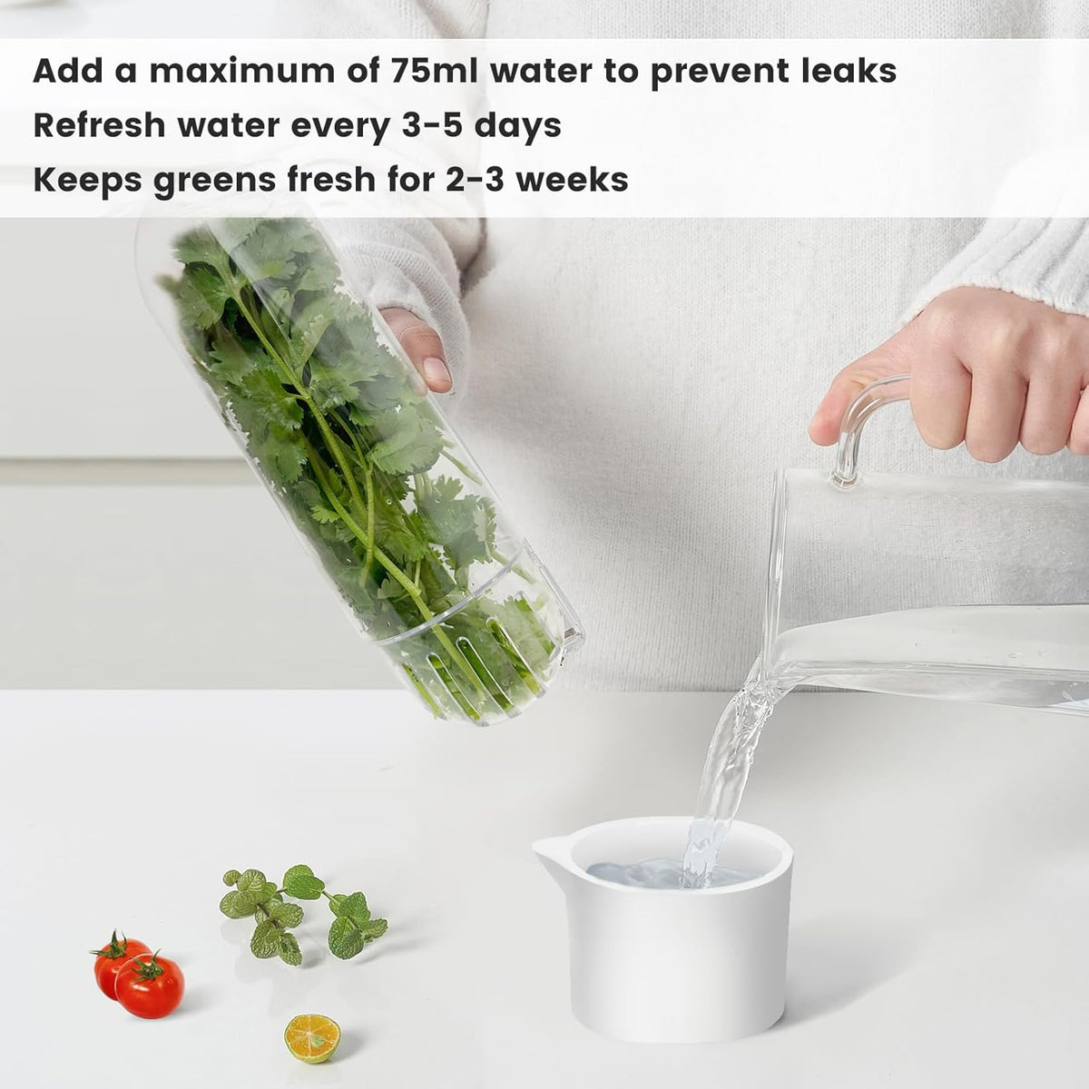 Herb Keeper for Refrigerator, Herb Saver for Refrigerator, Cilantro Container, Vegetable Preservation Bottle for Cilantro, Mint, Parsley, Asparagus, Keeps Greens Fresh for 2-3 Weeks (3PCS)