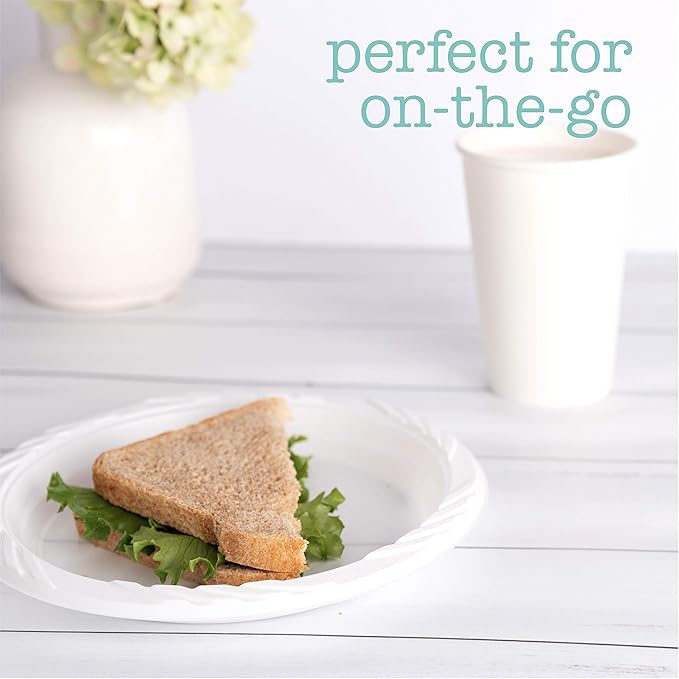 PLASTICPRO 100 Count Disposable 7 Inch White Plastic Plates