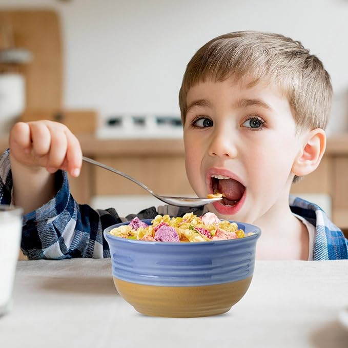 Hasense Porcelain Soup Bowls, 20 OZ Cereal Bowls Set of 6, Small Bowls for Kitchen, Great for Cereal, Snack, Rice, Soup, Ice Cream, Dessert, Dishwasher and Microwave Safe, Purple