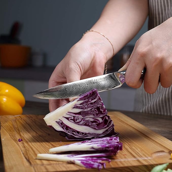 PAUDIN Kitchen Utility Knife 5 Inch, Damascus Chef Knife Japanese Kitchen Knife VG10 High Carbon Stainless Steel