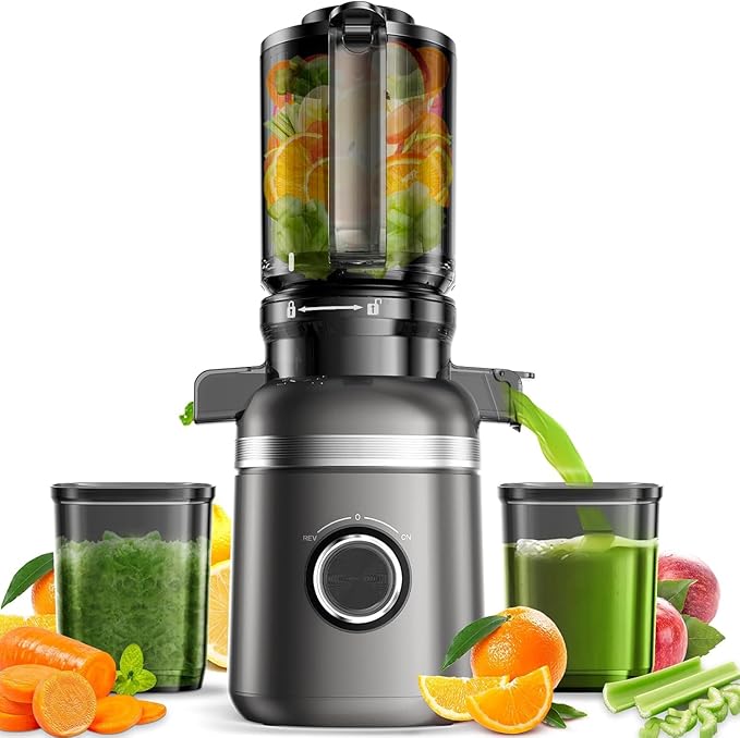 GlowWise Cold Press Juicer Machines for Whole Vegetables & Fruits, Slow Masticating Juicer Maker with Wide Feed Chute, High Juice Yield, Easy to Clean, Gray