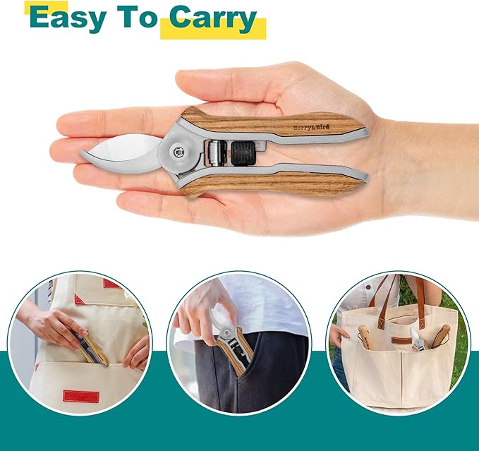 Berry&Bird Mini Pruning Shears for Gardening Curved Blades Hand Pruners with Wooden Handle Garden Scissors Snips Stainless Steel Trimming Small Clippers Bonsai Compact Size Sheaering Tool