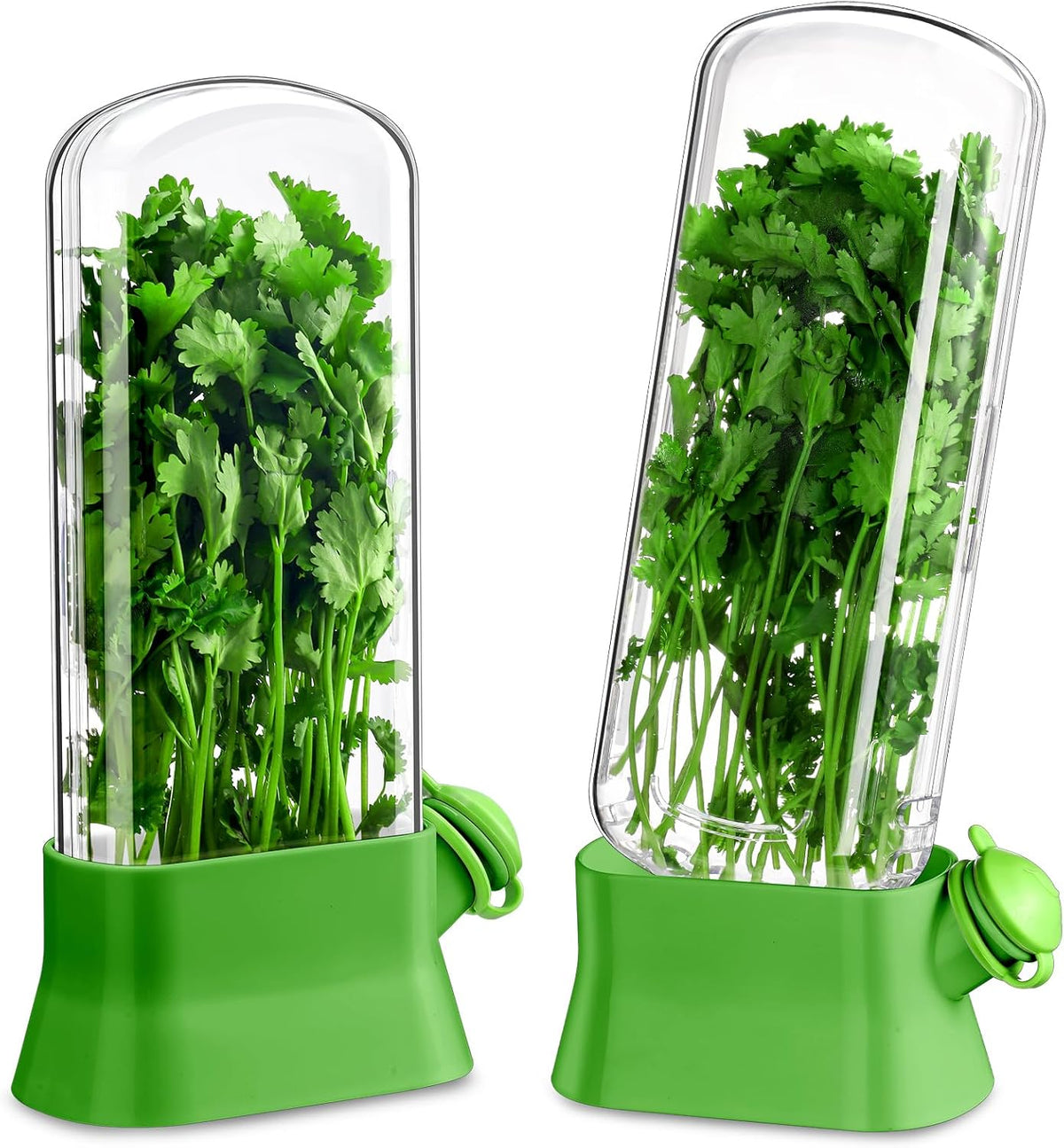 Baderke 2 Pieces Herb Saver for Refrigerator Herb Keeper Herb Storage Containers Herb Saver Pod for Cilantro, Parsley, Asparagus, Keeps Vegetables for 2-3 Weeks (Green)