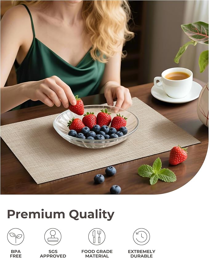 Leetaltree Beige Placemats Set of 12 - Heat Resistant Non-Slip Place mats for Dining Table, Washable Durable PVC Vinyl Woven Table Mats(Beige, 12)