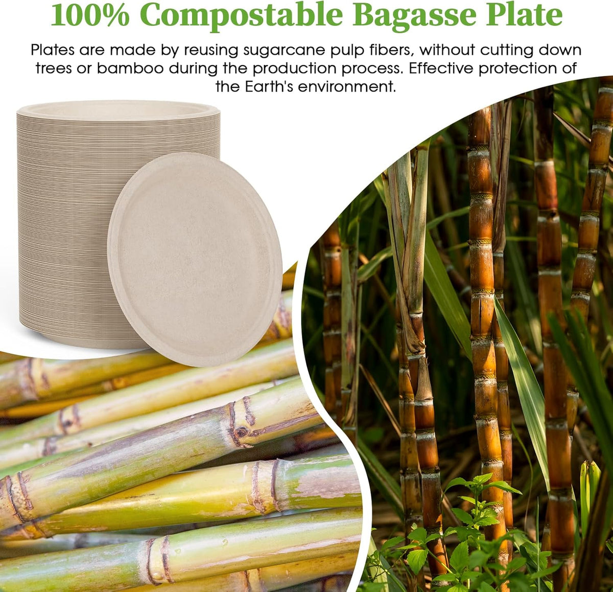 ECOLipak 6 Inch Disposable Compostable Small Paper Plates, 200 Pack Recycled Sugarcane Bagasse Biodegradable Heavy Duty Mini Dinner Appetizer Cake Dessert Plates for Party(Nature)