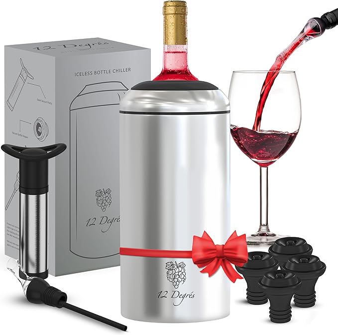 Wine Chiller Set - Perfect Wine Gifts for Women & Men - Stainless Steel Insulated Wine Cooler with Wine Pump, Aerator & 4 Stoppers (Silver)