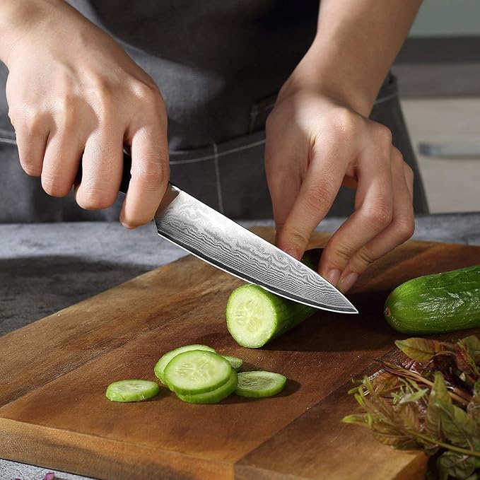 PAUDIN Utility Knife, Damascus Kitchen Knife, 67-Layer Forged Blade, Ultra Sharp Edge, Full Tang G10 Handle with Triple Rivets, 5'' Paring Knife for Cutting Fruit and Vegetables