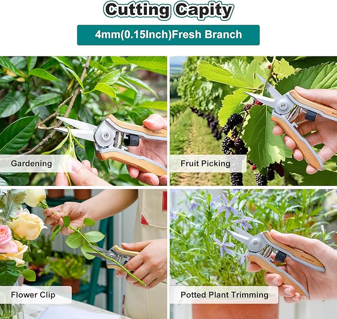 Berry&Bird Mini Pruning Shears for Gardening Straight Blades Hand Pruners with Wooden Handle Garden Scissors Snips Stainless Steel Trimming Small Clippers Bonsai Compact Size Shearing Tool