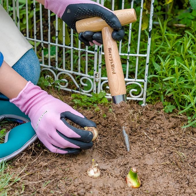 Berry&Bird Hand Dibber, Stainless Steel Sow Dibbler with Wood Handle, Garden Hole Punch Dibbler Tool for Planting Seeds & Bulbs, Hand Held Bulb Planter for Planting Flowers Tulips, Daffodils, Dahlias