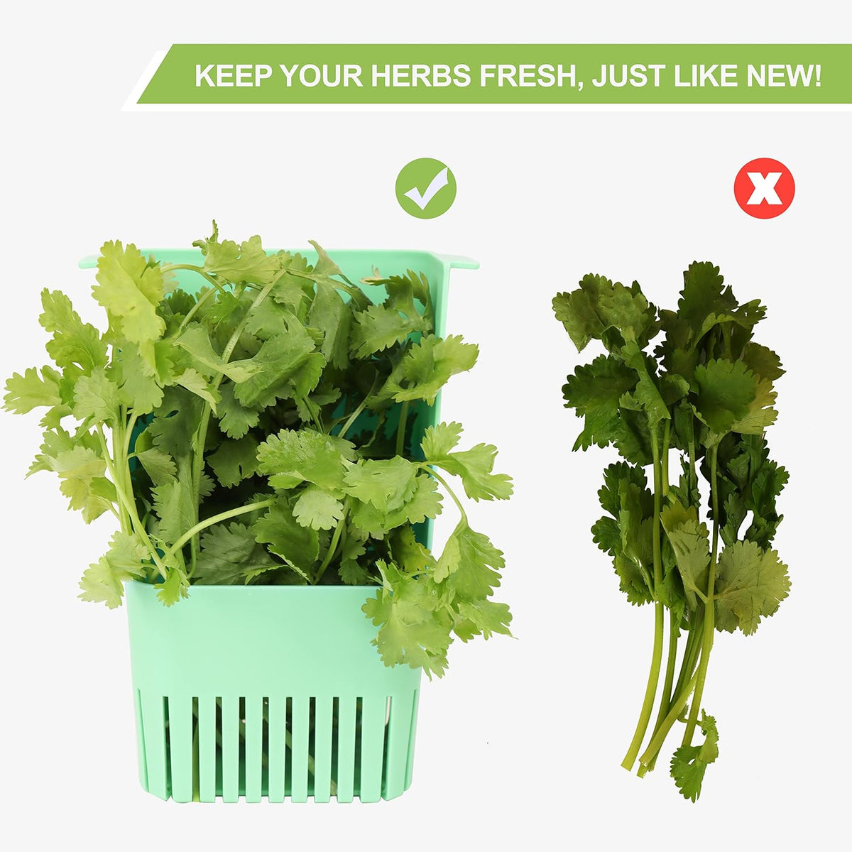 2 Pack Herb Keeper, BPA-Free Plastic Herb Saver with an Inner Basket for Cilantro, Mint, Parsley, and Asparagus, Keeps Fresh Herbs for 3 Times Longer