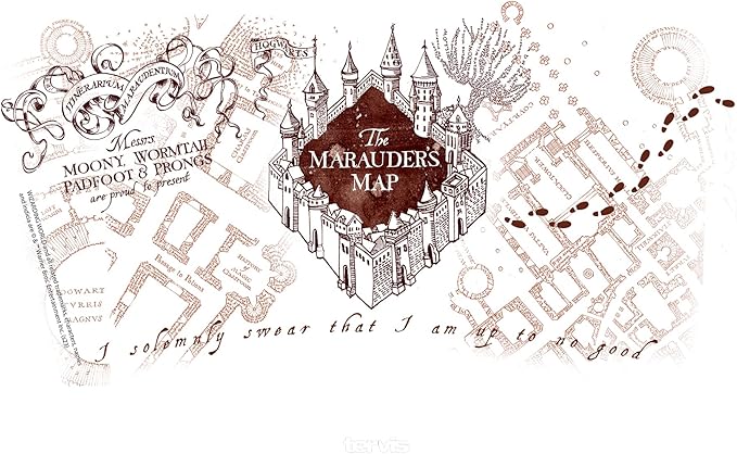 Tervis Harry Potter The Marauder's Map Made in USA Double Walled Insulated Tumbler Travel Cup Keeps Drinks Cold & Hot, 24oz, Classic