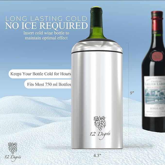 Wine Chiller Set - Perfect Wine Gifts for Women & Men - Stainless Steel Insulated Wine Cooler with Wine Pump, Aerator & 4 Stoppers (Silver)