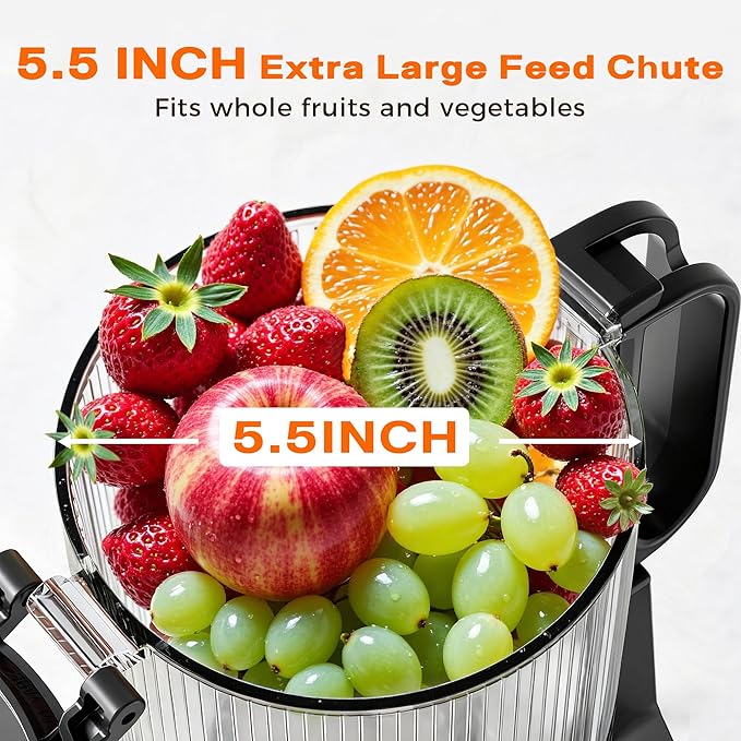 Cold Press Juicer, 5.5inch Wide Feed Chute Juicer Machine, Slow Masticating Juicer for Whole Vegetables & Fruits, Gray