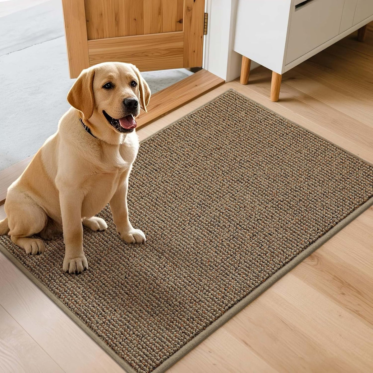 JSEI Dirt Trapper Door Mat 32"x48" Non-Slip Washable Entrance Mat, Dog Doormats, Absorbent & Fade-Resistant Floor Mats, Low Profile Welcome Mats for Entryway, Front Door, and Inside Entrance, Beige