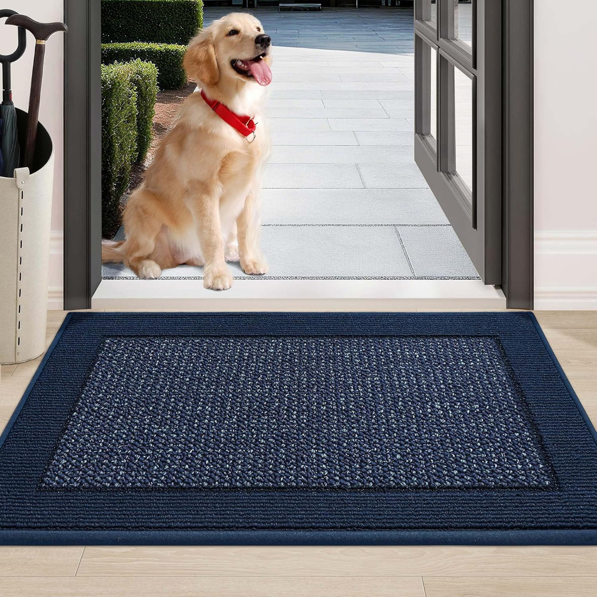 BEQHAUSE Indoor Door Mat 24" x 36", Dirt Trapper Door Mats Non-Slip Entryway Rugs Washable, Resist Dirt Absorbent Welcome Mat, Low Profile Floor Mats for Front Back Door and Entryway, Blue