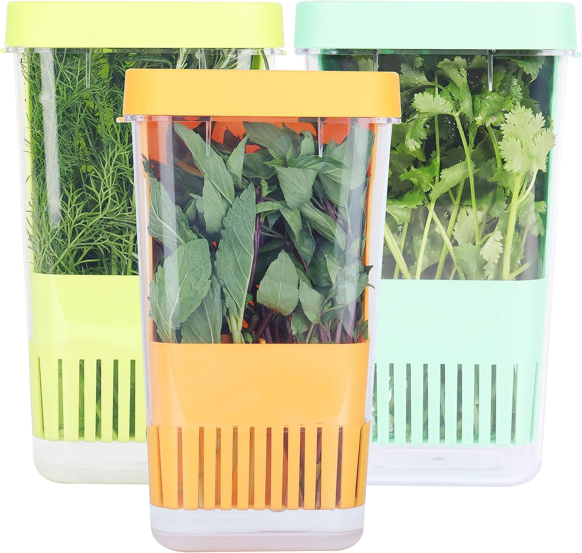 3 Pack Fresh Herb Keeper for Refrigerator, Clear BPA-Free Herb Saver, Storage Container for Cilantro, Parsley, Thyme, Mint & Asparagus, Preserver Keeps Fresh Herbs, Green & Blue & Orange