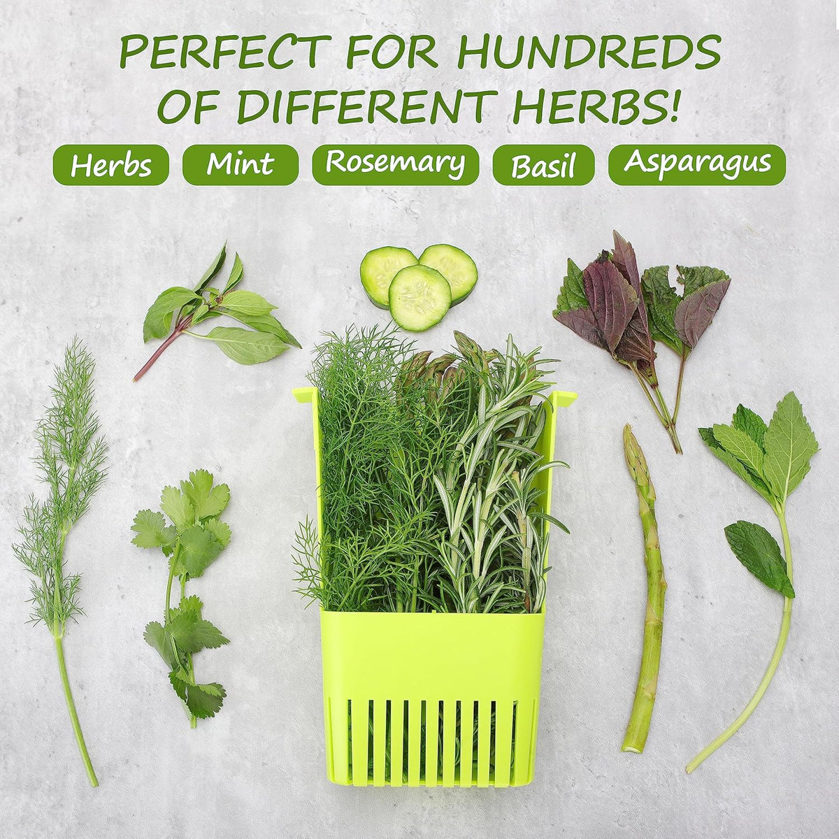 3 Pack Fresh Herb Keeper for Refrigerator, Clear BPA-Free Herb Saver, Storage Container for Cilantro, Parsley, Thyme, Mint & Asparagus, Preserver Keeps Fresh Herbs, Green & Blue & Orange