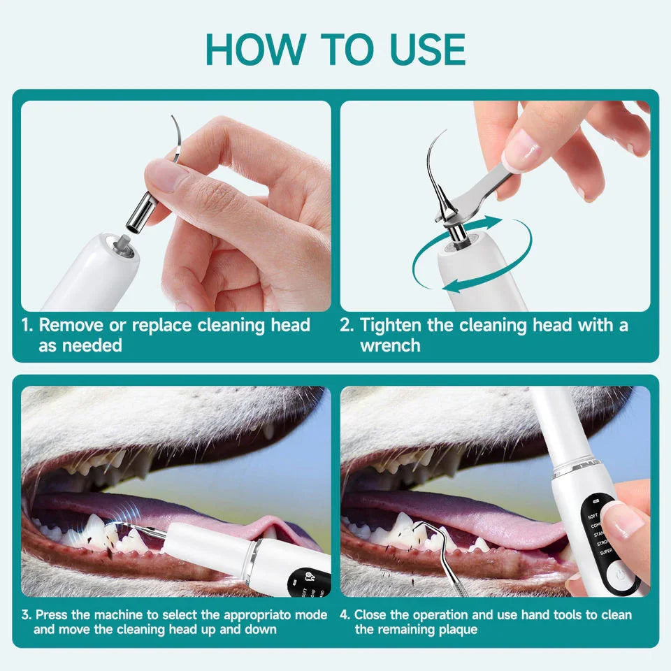 Snavya Pet Dental Ultrasonic Tooth Cleaner – Electric Plaque Remover & Tartar Scaler for Dogs and Cats | Curvy Moon T6